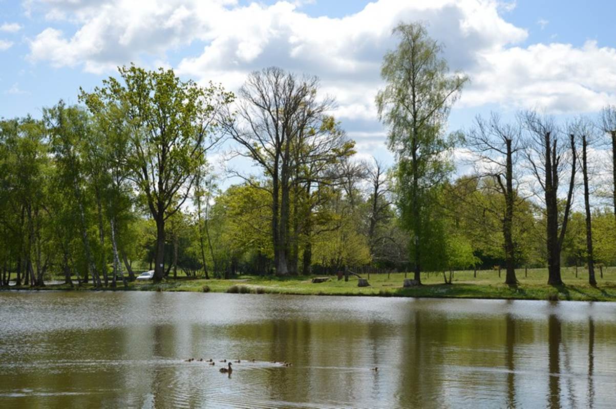 camping de la lande nexon limousin credit photo office tourisme nexon mont de chalus  (6)-gallery