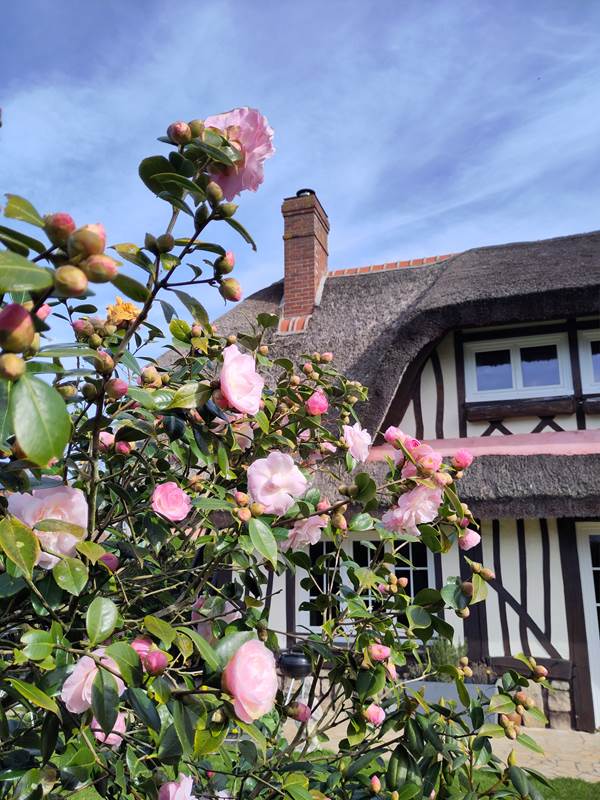 IMG_20260317_105603-gallery