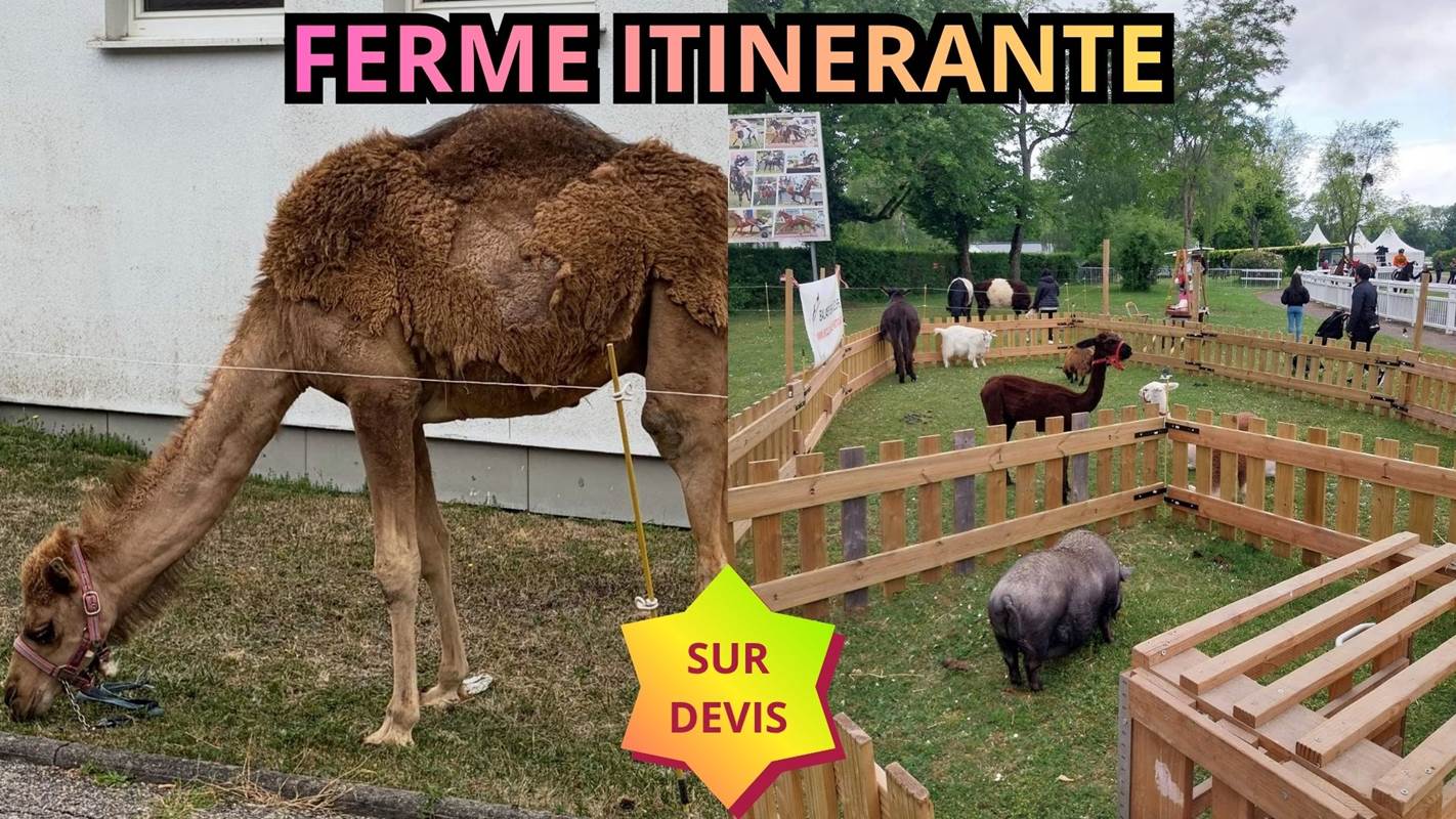 L’écurie du Vermois (30)