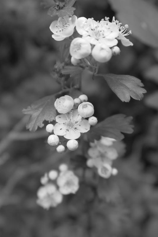 185882352_Unknown-gallery