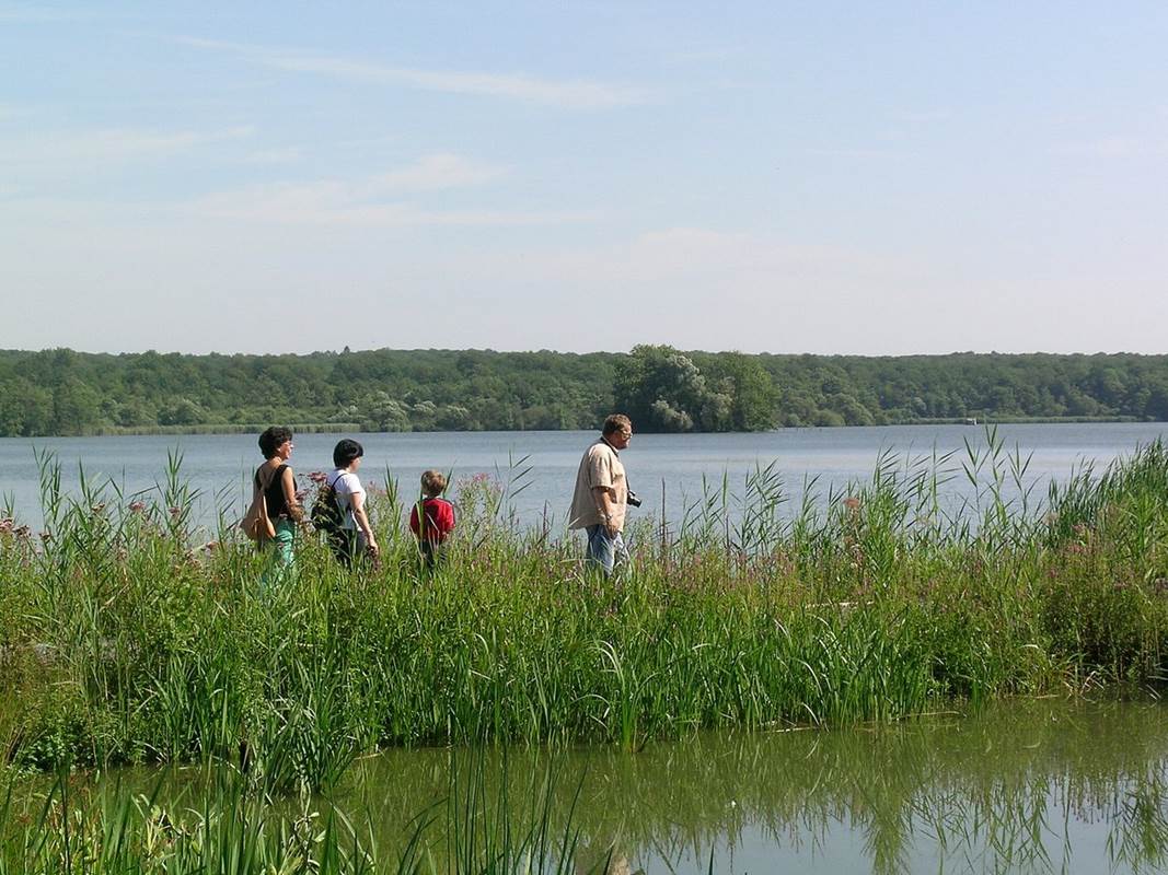 Aquascope Virelles.-gallery