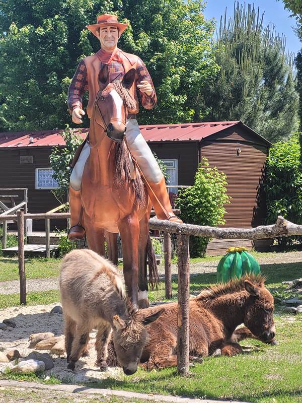 image_6483441 (11)-gallery