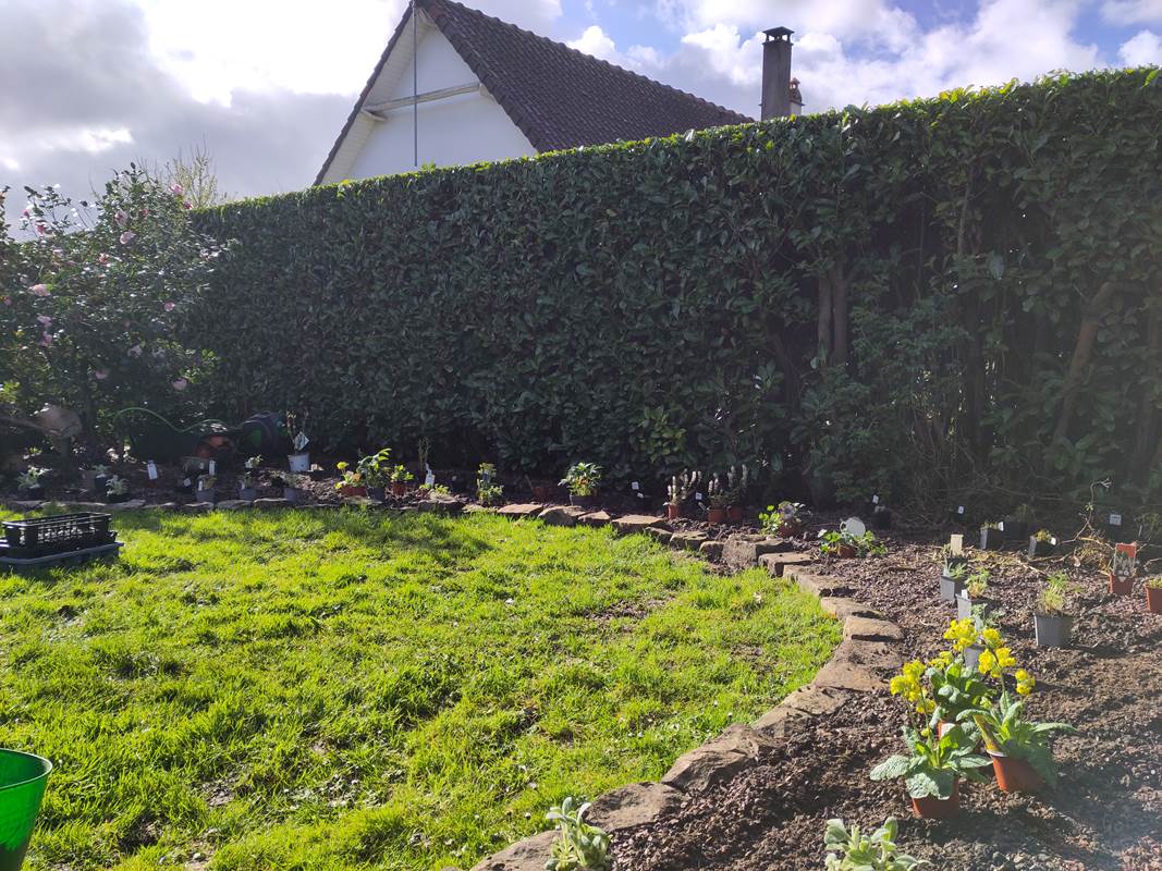 Le jardin 'Art and Craft' - nouvelles plantations-gallery