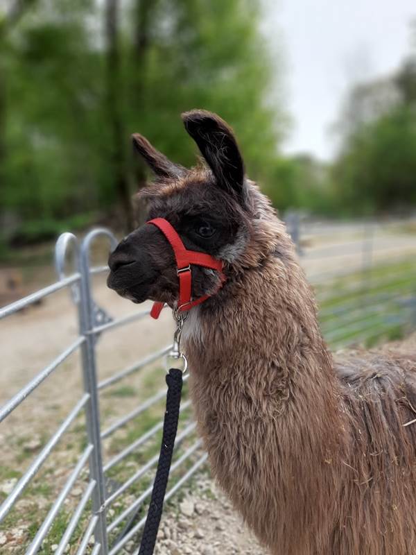 Prêt au départ-gallery