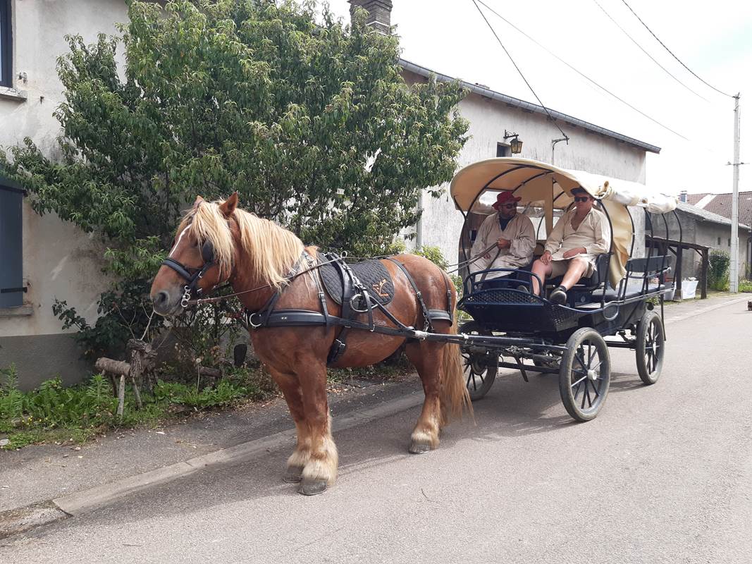 Grande calèche pour les mariages