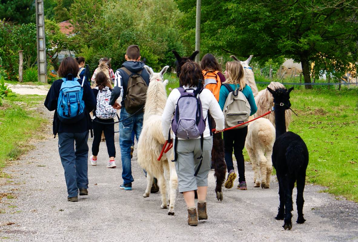 Grande randonnée lama-gallery