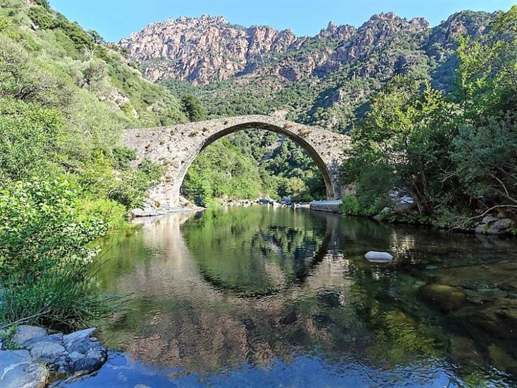 d53aa7f89db2d1935feed7588780d953_L-gallery