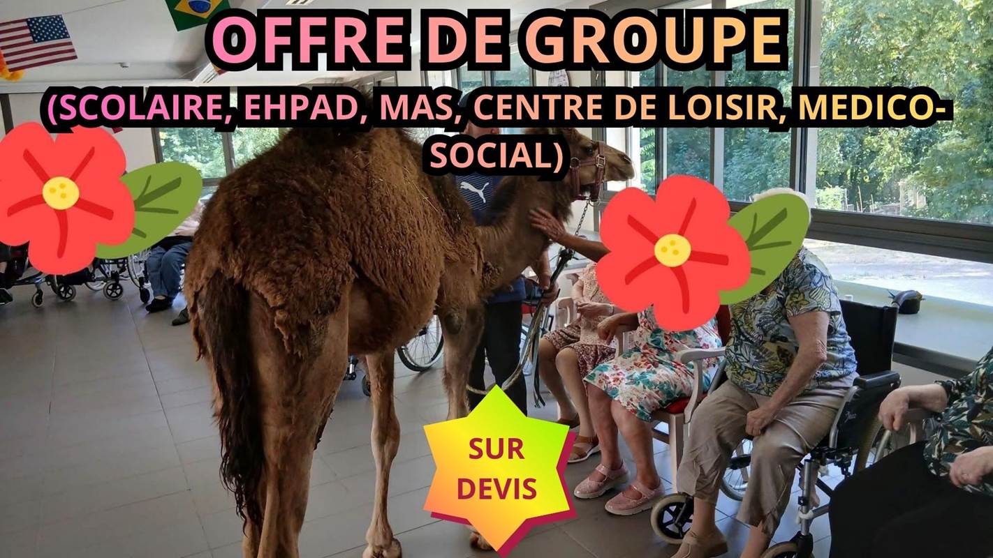 L’écurie du Vermois (31)