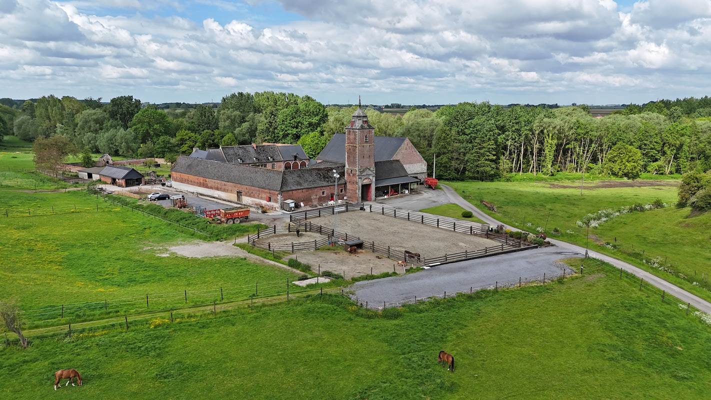 DJI_20240930051141_0488_D-gallery
