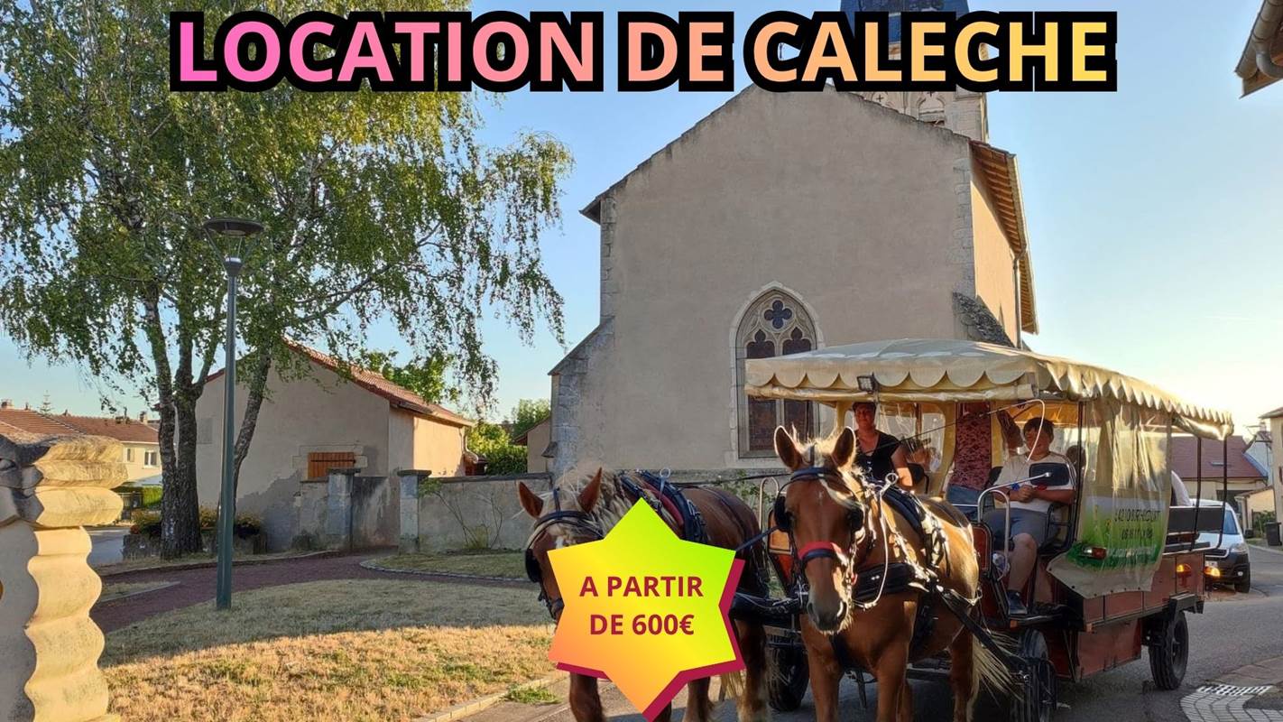 L’écurie du Vermois (51)