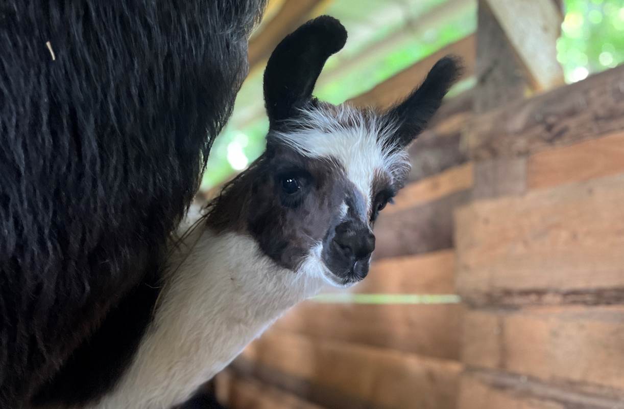 SE DECOUVRIR-gallery