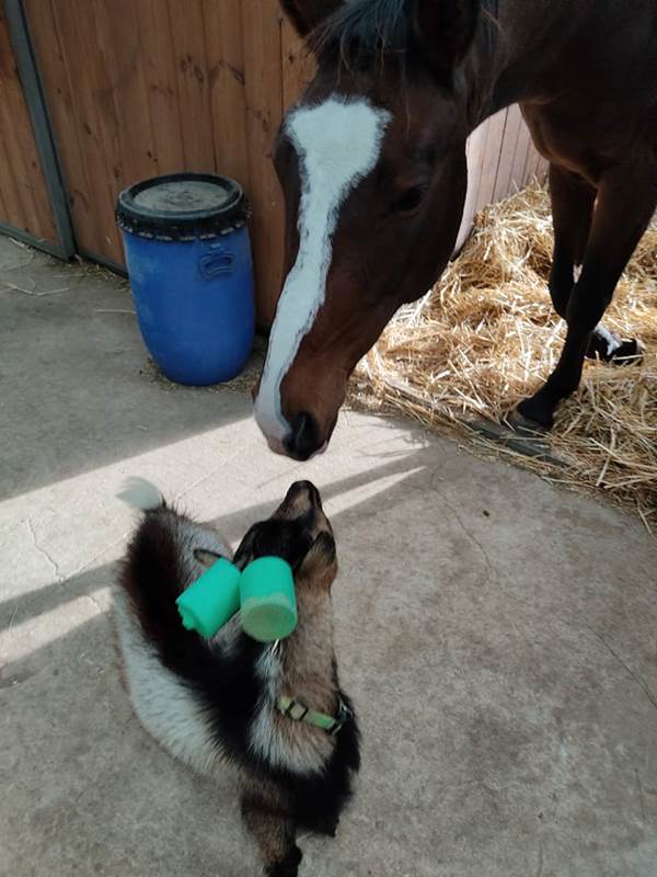 Rencontre insolite