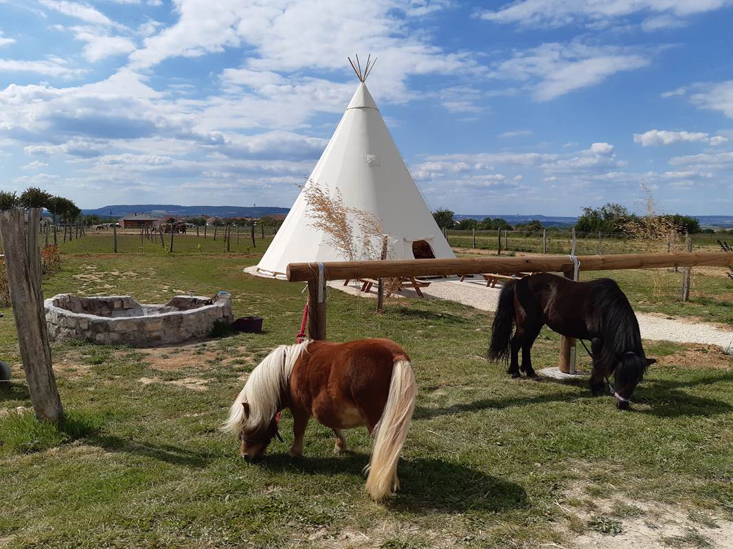 Le grand tipi