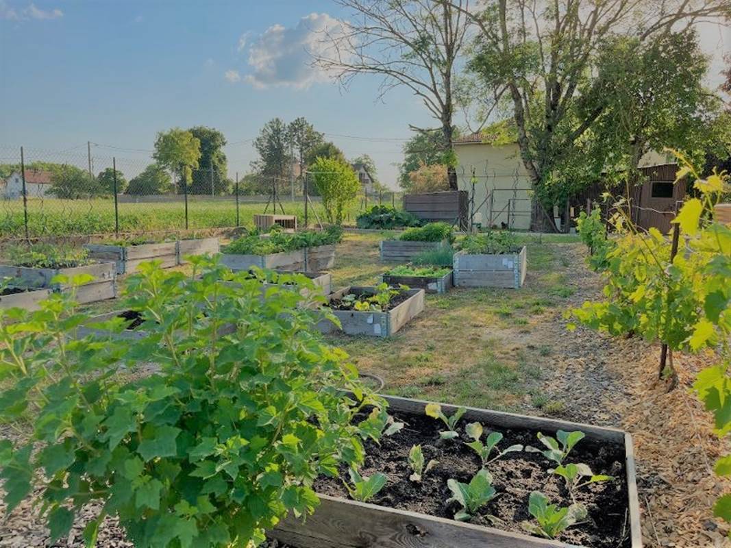 Gîte du Lapin Bleu Potager-gallery