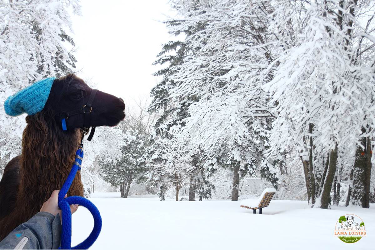 Balade Hivers-gallery