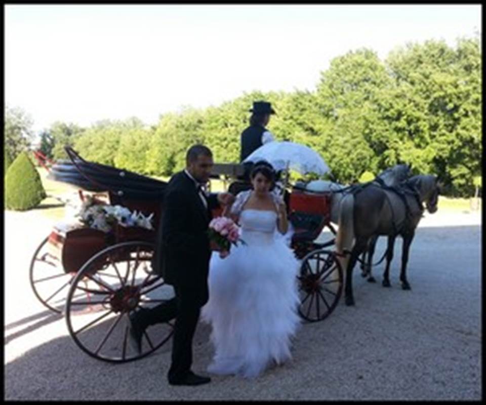Mariage en calèche Les attelages BLANC (7)