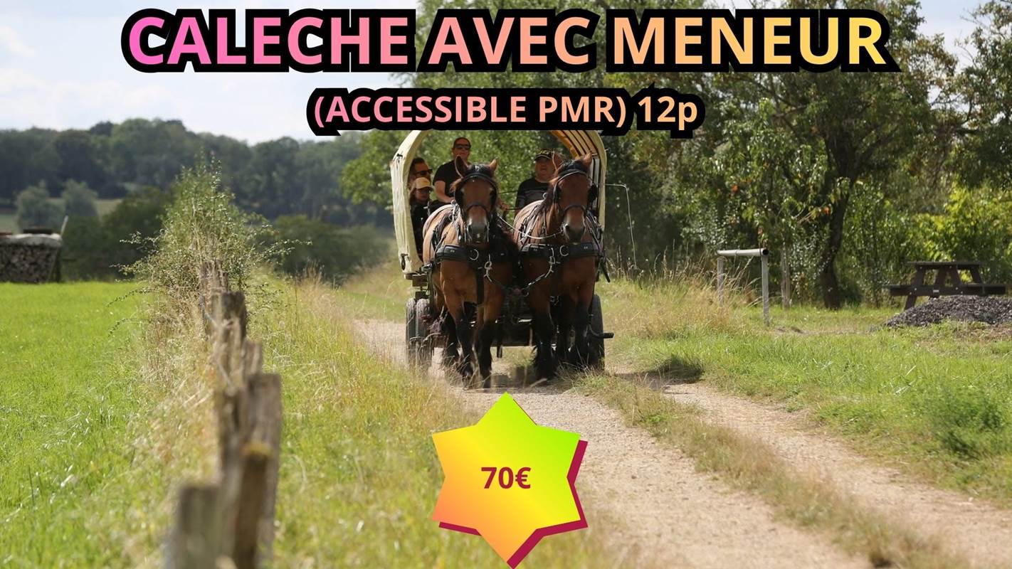 L’écurie du Vermois (25)