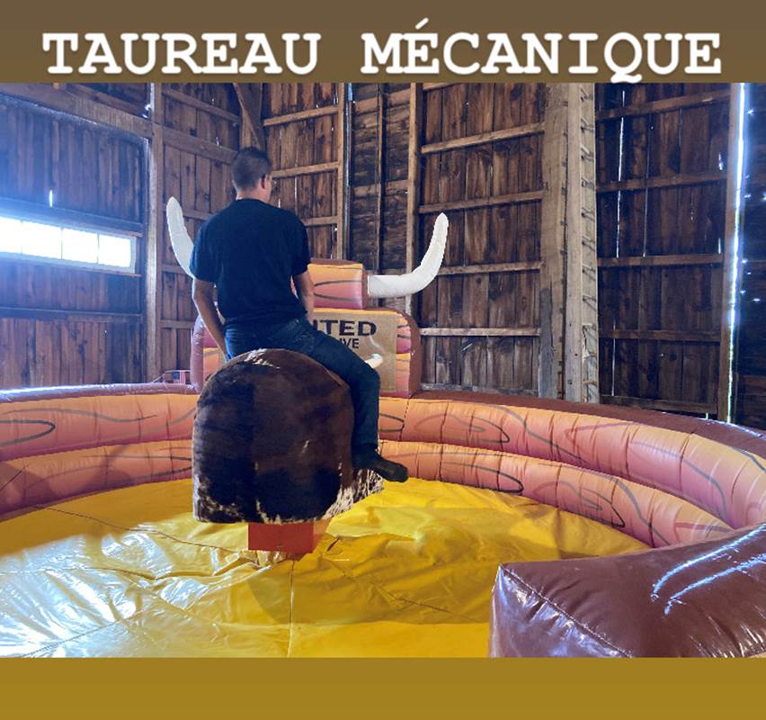 image_6487327 (23)-gallery