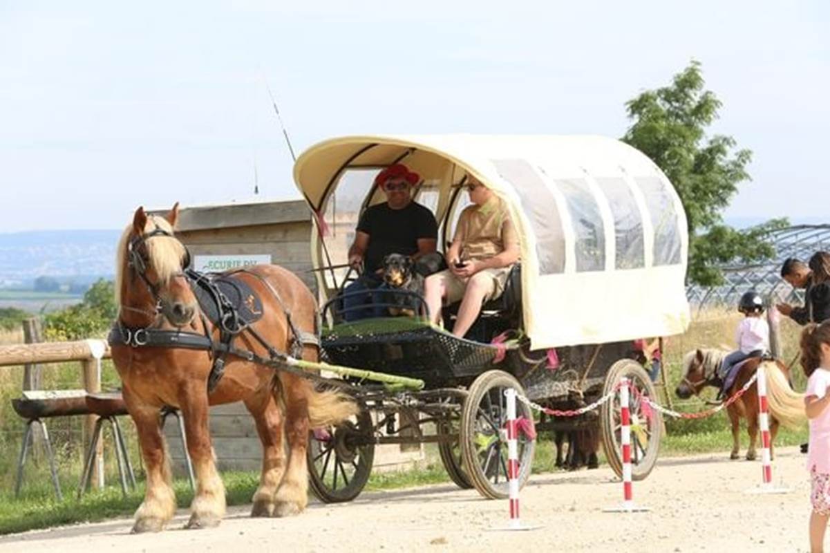 Grande calèche bâchée