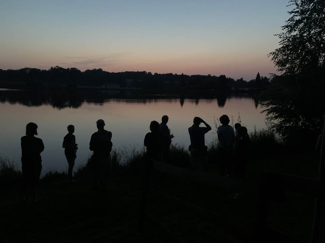 animation nocturne 2021-gallery