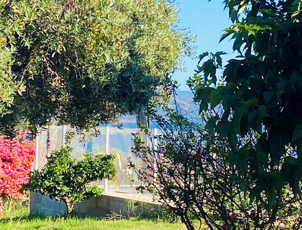 Location Sagone Corse-gallery