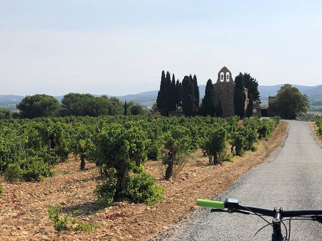 balade en VTT électrique dans les vignes