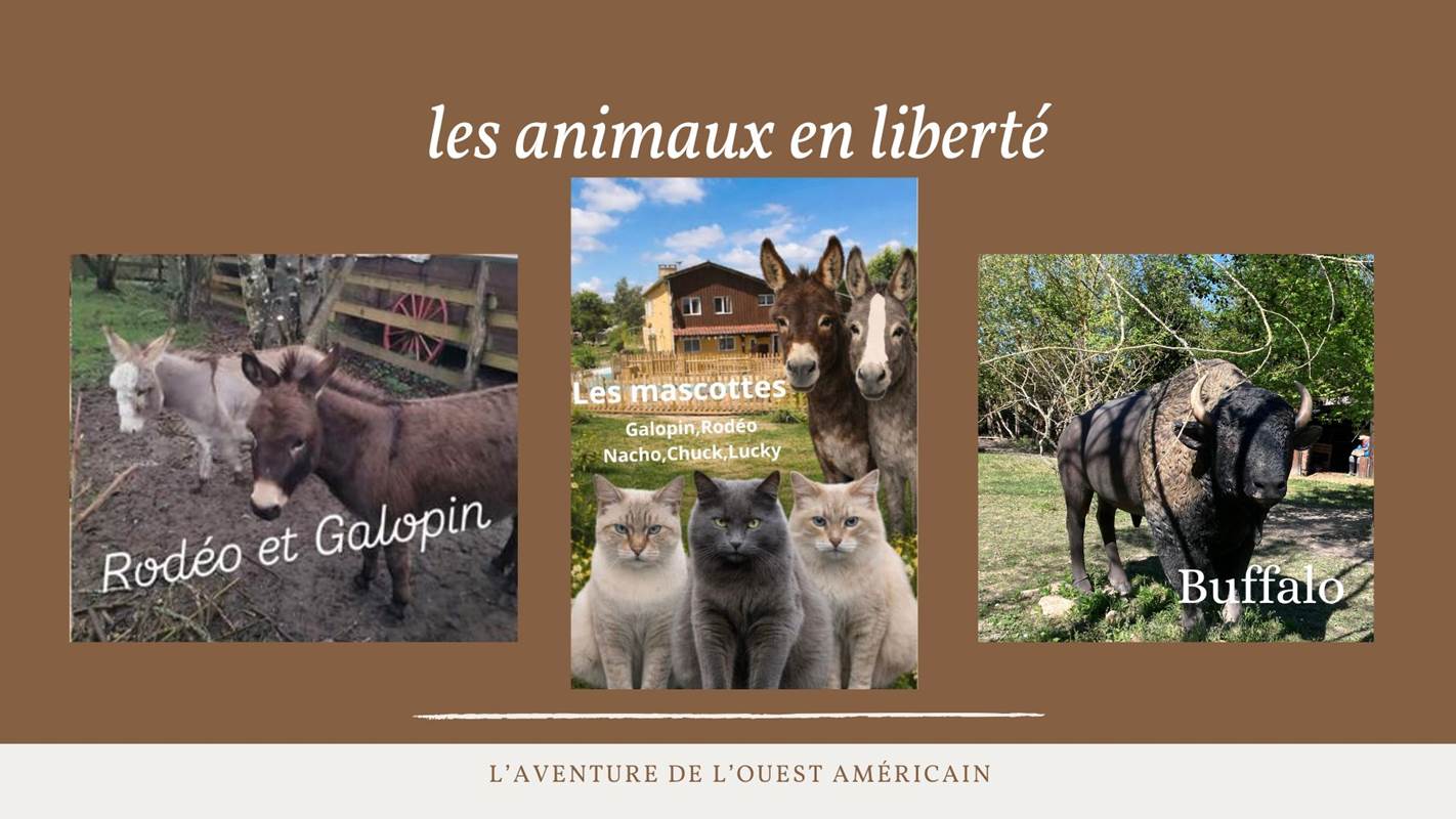 Copie de SYL-VALLÉE western village (35)-gallery