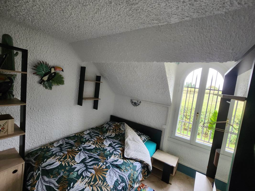 chanmbre toucan-gallery