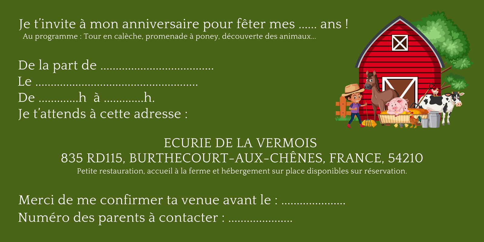 Flyer2