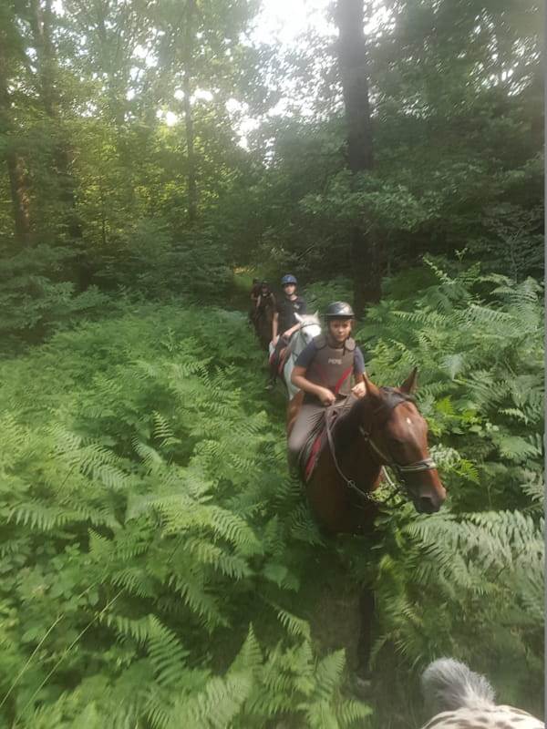 sortie forêt