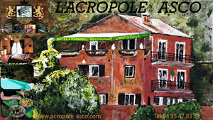 HOTEL RESTAURANT BOUTIQUE  ACROPOLE  CORSE