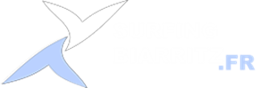 Surfing Biarritz