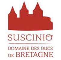 Château de Suscinio