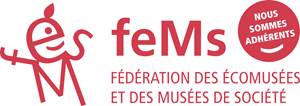 FEMS