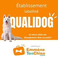 Emmene ton chien