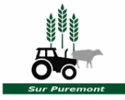 Sur Puremont