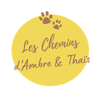 Les Chemins d'Ambre & Thaïs