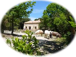 La Bergerie du Prat de Mu Gîtes à la Ferme