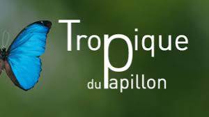 Le Tropique du Papillon