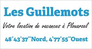 Les Guillemots ***