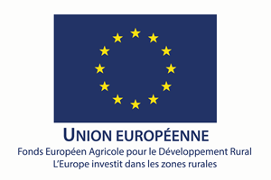 Union Européenne