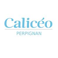 Caliceo