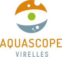 Aquascope Virelles