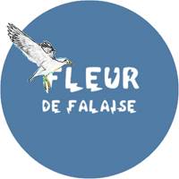 Fleur de Falaise