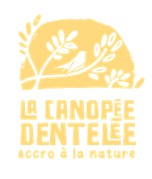 La Canopee Dentelee