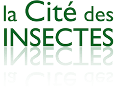 La cité des insectes