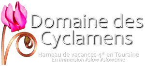 Le Domaine des Cyclamens French hamlet