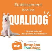 Emmène ton chien