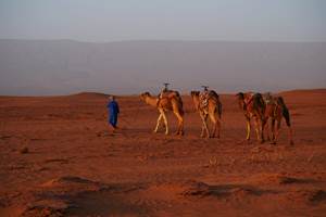 DÉSERT IRIKI EXCURSIONS FOUM ZGUID