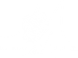 LES HAUTS DE MEEZ